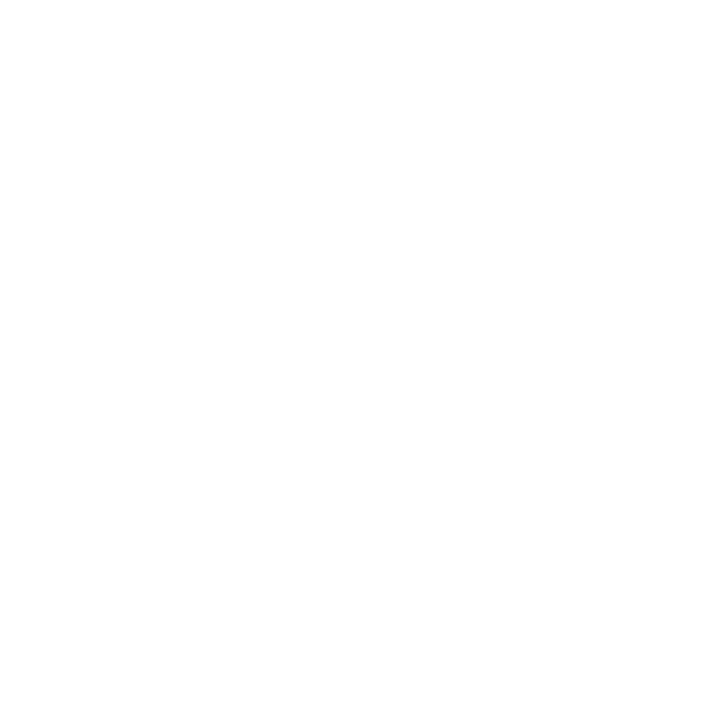 skameleon